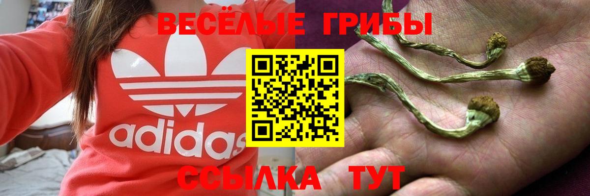 Нефтекамск  Галлюциногенные грибы GOLDEN TEACHER  купить наркоту  Галлюциногенные грибы Psilocybe  Вход с VPN 
